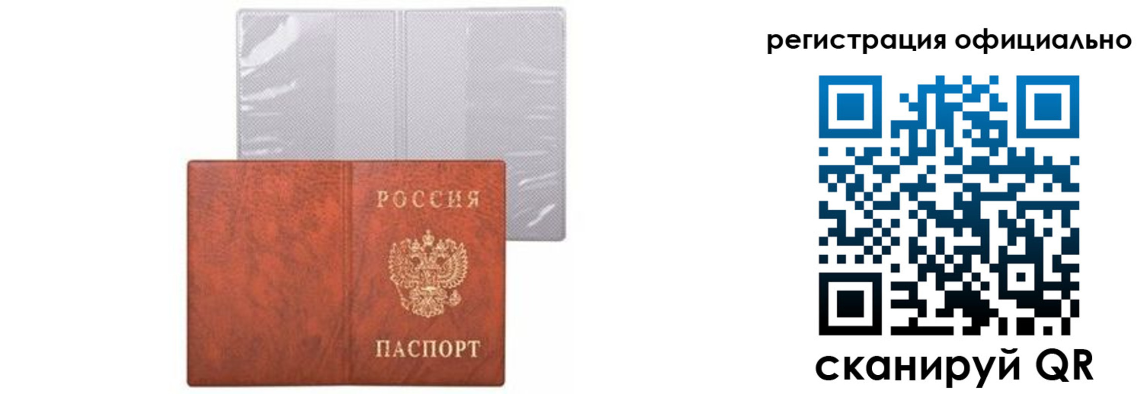 временная регистрация госуслуги в Кингисеппе